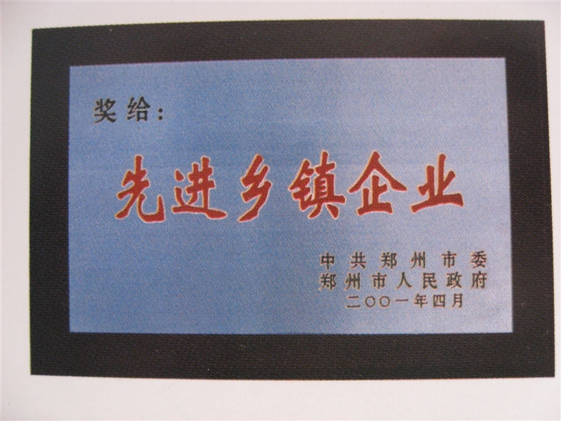 先进乡镇企业